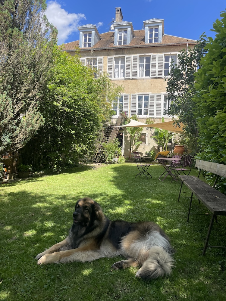 Jardin et façade arrière